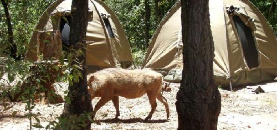 Besuch im Camp